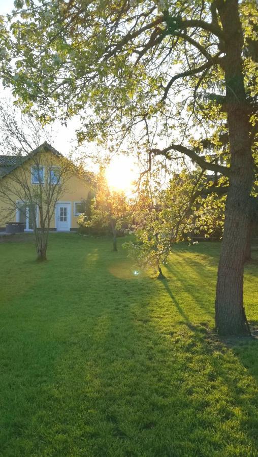 Ferienwohnung Luba Lipa Drachhausen Екстер'єр фото